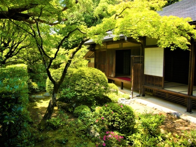 年配者が好きそうな日本庭園の様子