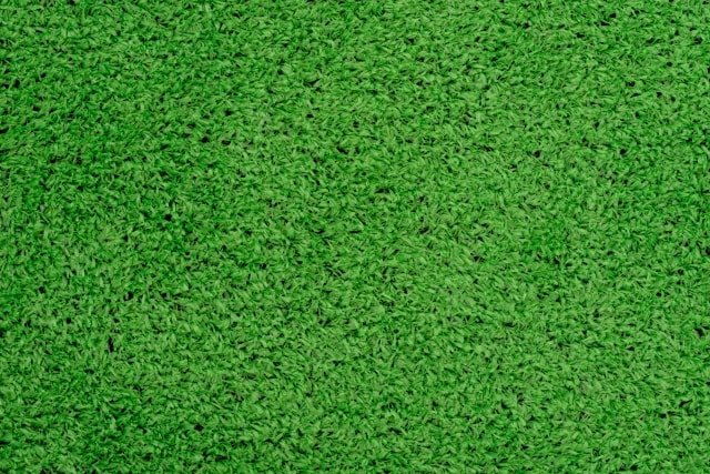芝目がきれいな人工芝